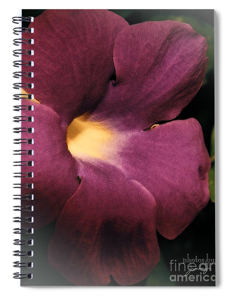 Flower Spiral Notebook featuring the photograph Ghana Violet by Jamie Johnson