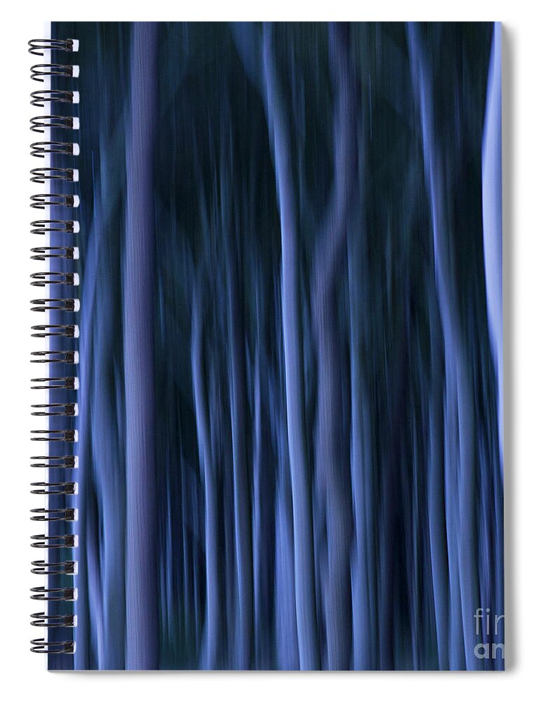 Abstract Spiral Notebook featuring the photograph Ghost Forest by Heiko Koehrer-Wagner
