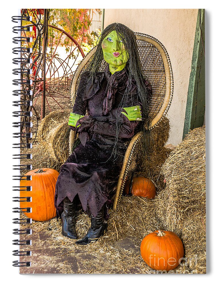 Halloween Spiral Notebook featuring the photograph Give Me A Kiss by Sue Smith