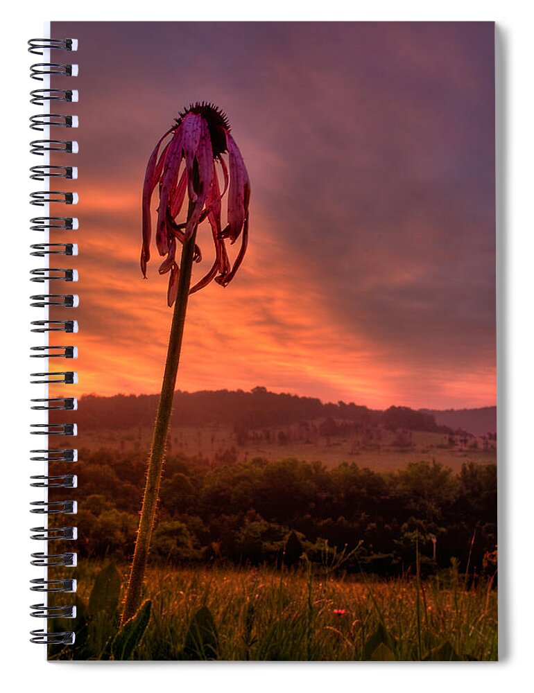 2009 Spiral Notebook featuring the photograph Glade Dawn by Robert Charity