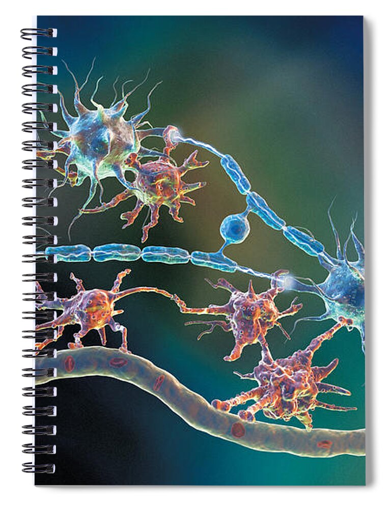 Glia Spiral Notebook featuring the photograph Glia and Neurons by Hybrid Medical Animation