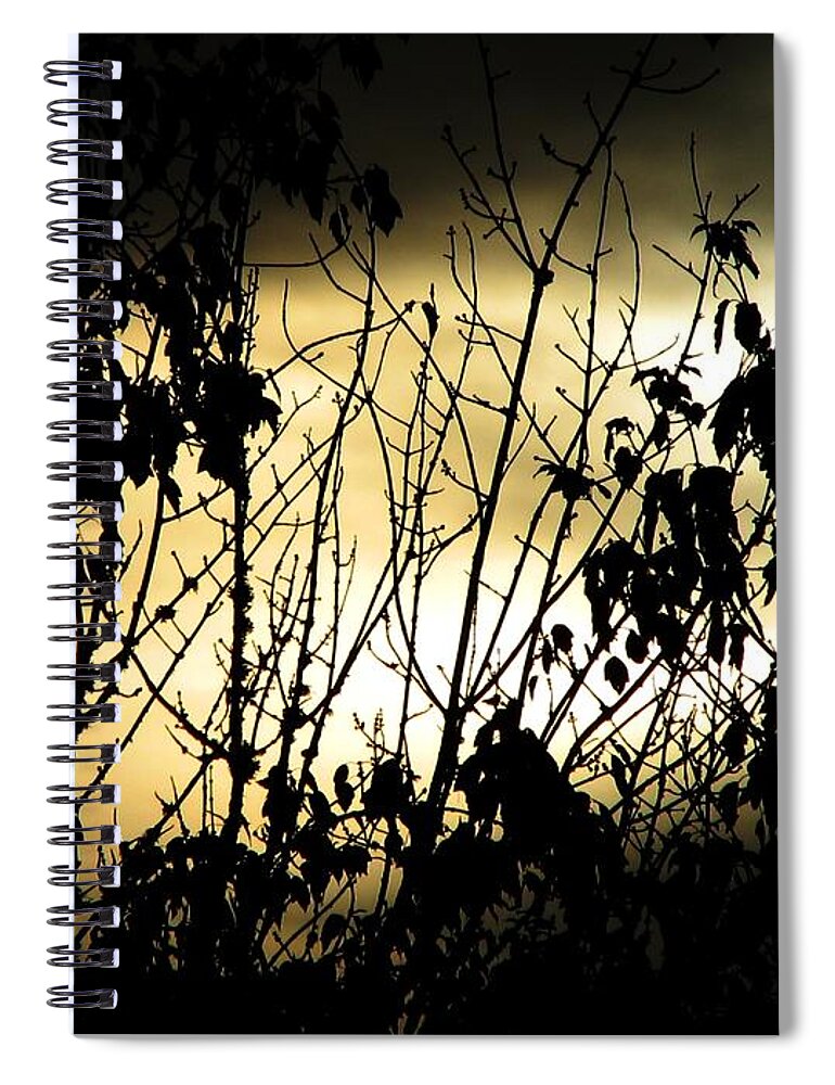 Sun Spiral Notebook featuring the photograph Glow by Chris Dunn