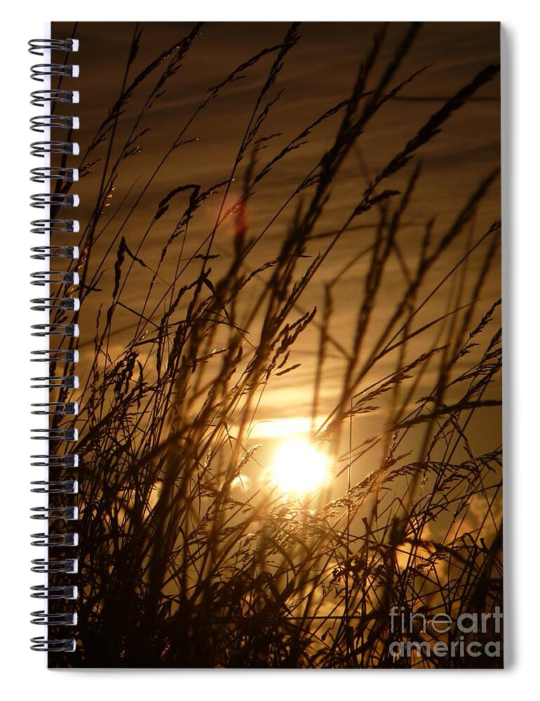 Sunset Spiral Notebook featuring the photograph Glow Through The Grass by Vicki Spindler