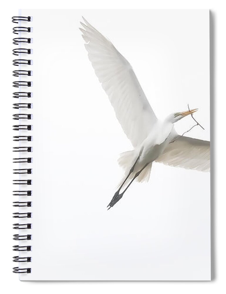 Great White Egret Spiral Notebook featuring the digital art Going Home by Jayne Carney