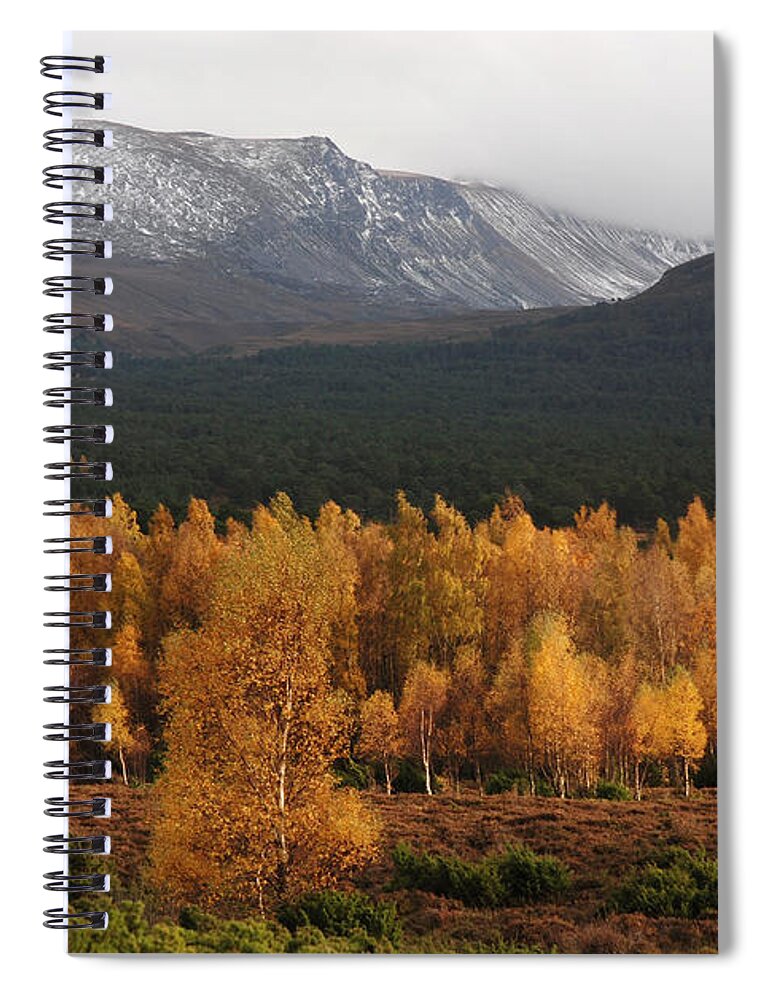 Autumn Gold Spiral Notebook featuring the photograph Golden Autumn - Cairngorm Mountains by Phil Banks