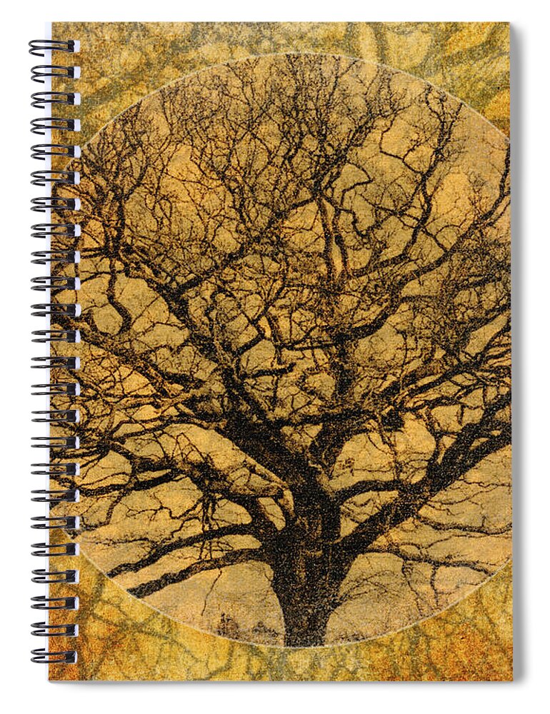 Autumnal Spiral Notebook featuring the photograph Golden Autumnal Trees by Lenny Carter