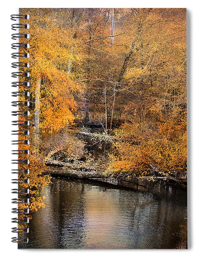 Autumn Spiral Notebook featuring the photograph Golden Blessings by Jai Johnson
