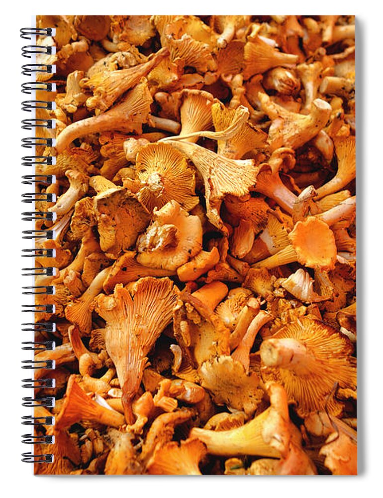 Chanterelle Spiral Notebook featuring the photograph Golden Chanterelles by Olivier Le Queinec