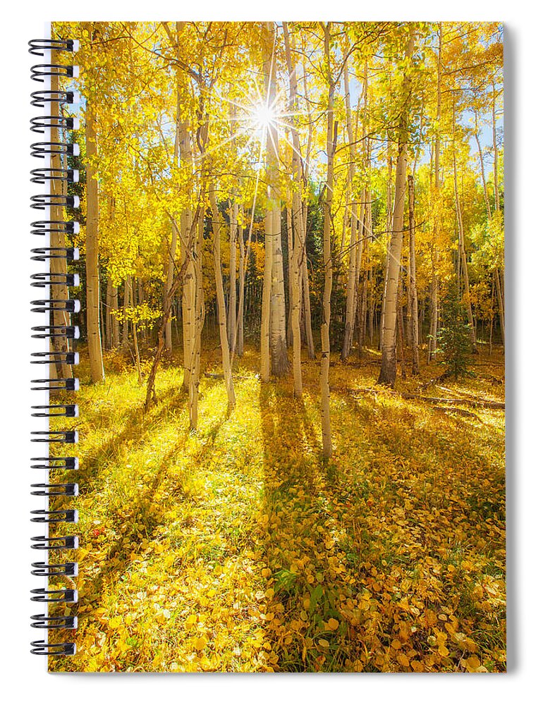 Aspens Spiral Notebook featuring the photograph Golden by Darren White