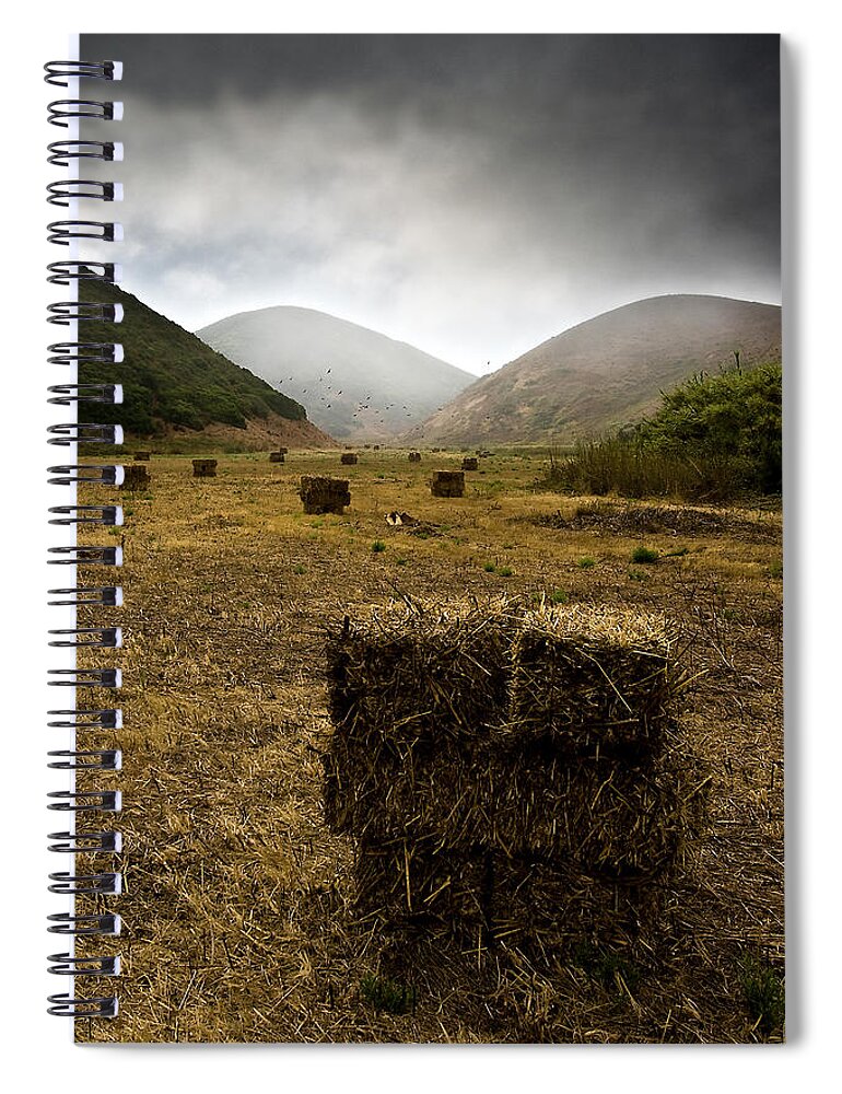 Landscape Spiral Notebook featuring the photograph Golden fields by Jorge Maia