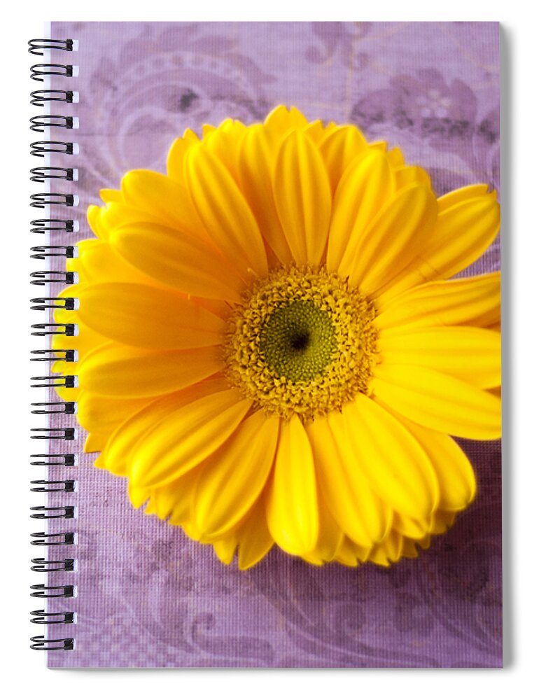 Daisy Spiral Notebook featuring the photograph Golden Girl by Christi Kraft