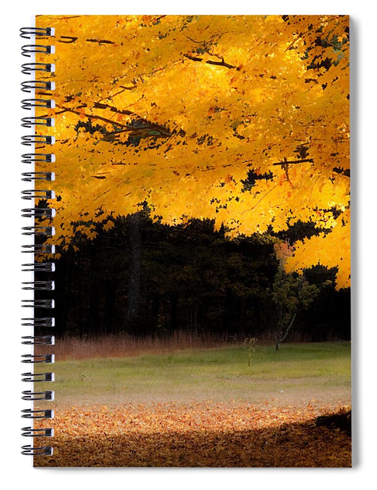autumn Foliage New England Spiral Notebook featuring the photograph Golden glow of autumn fall colors by Jeff Folger