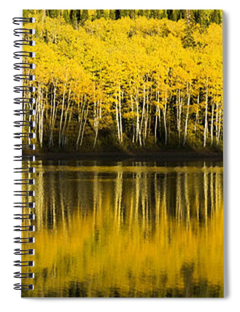Fall Spiral Notebook featuring the photograph Golden Lake by Chad Dutson
