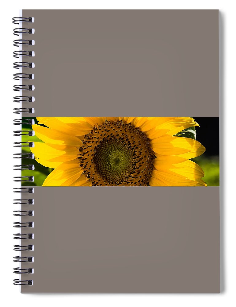 Flower Spiral Notebook featuring the photograph Golden Petals by Ed Gleichman