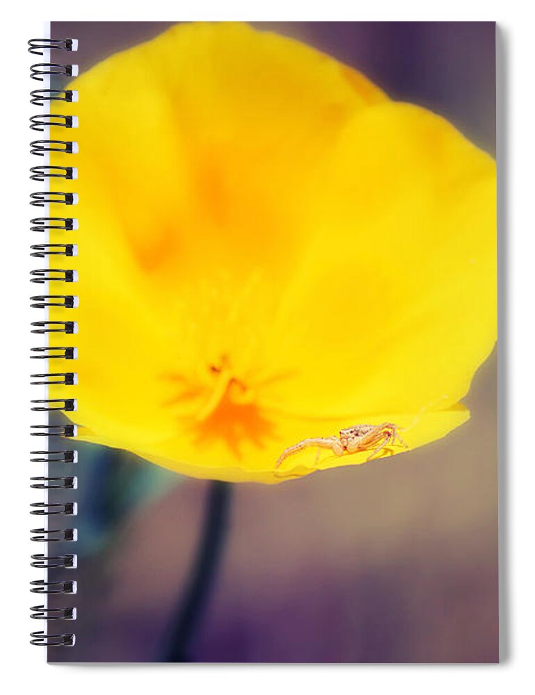 Poppy Spiral Notebook featuring the photograph Golden Seat by Melanie Lankford Photography