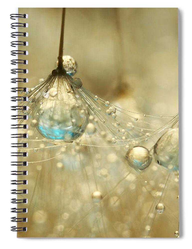 Dandelion Spiral Notebook featuring the photograph Golden Sparkles by Sharon Johnstone