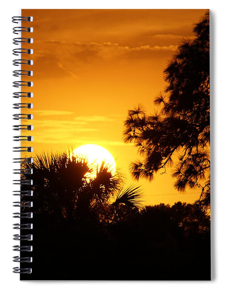 Golden Sun Spiral Notebook featuring the photograph Golden Sunset by Chauncy Holmes