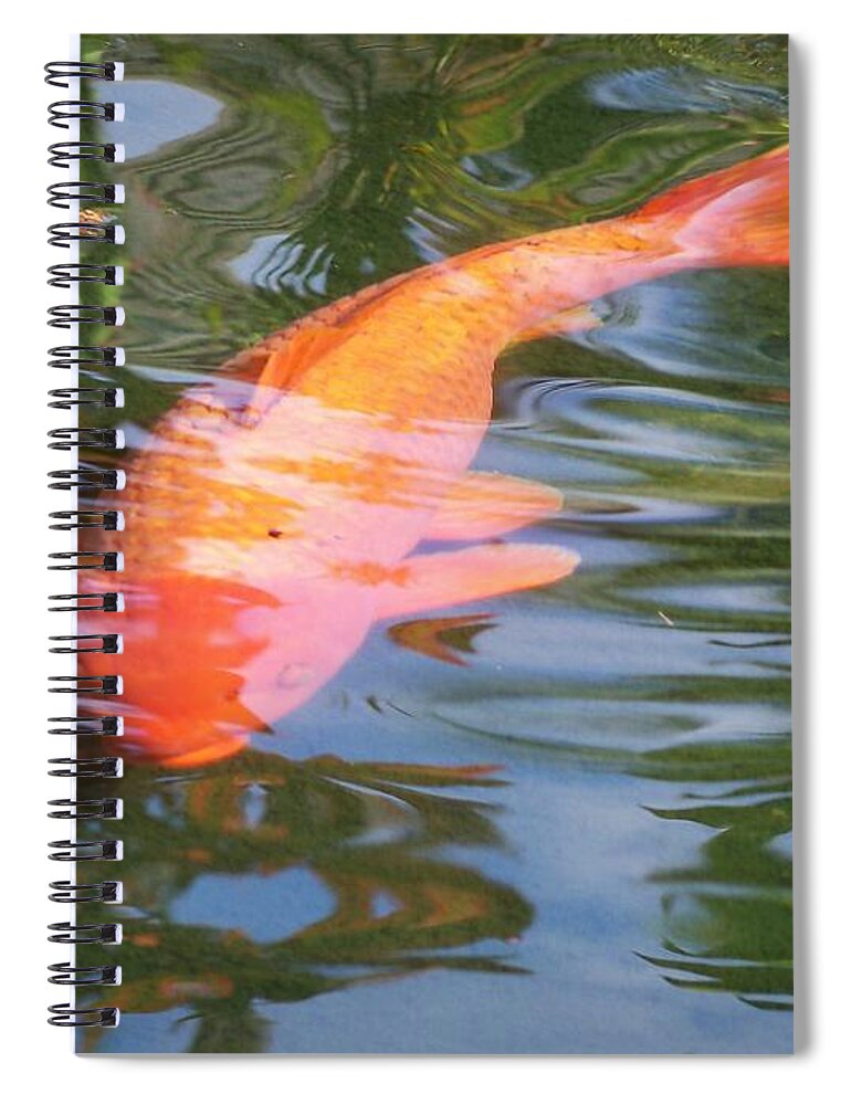 Golfish Spiral Notebook featuring the photograph Goldfish by Cornelia DeDona