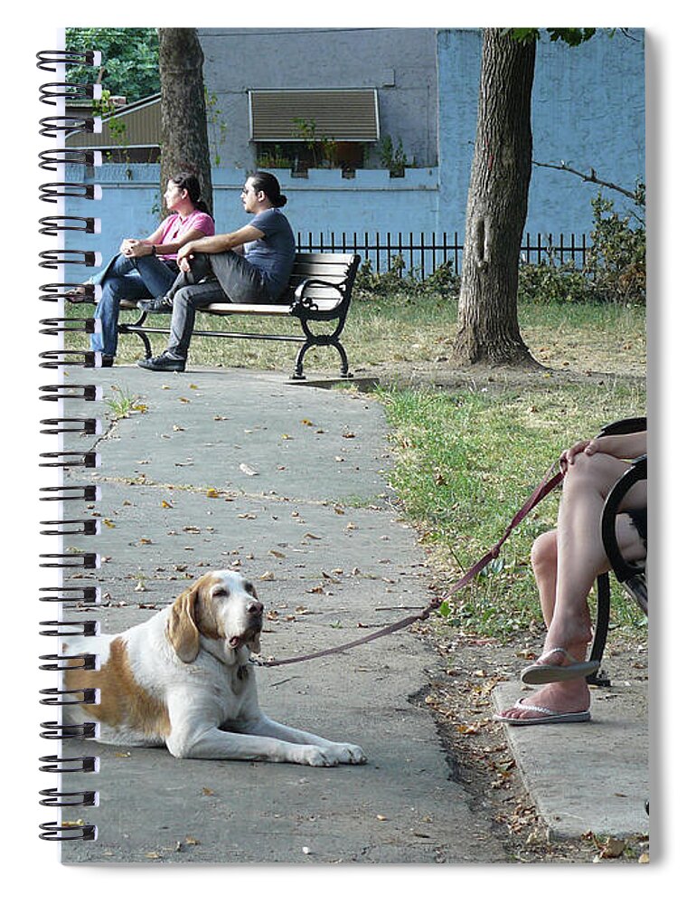 City Spiral Notebook featuring the photograph Goldstar Park by Mary Ann Leitch