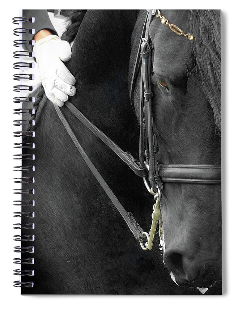 Friesian Competition Spiral Notebook featuring the photograph Good Boy by Fran J Scott