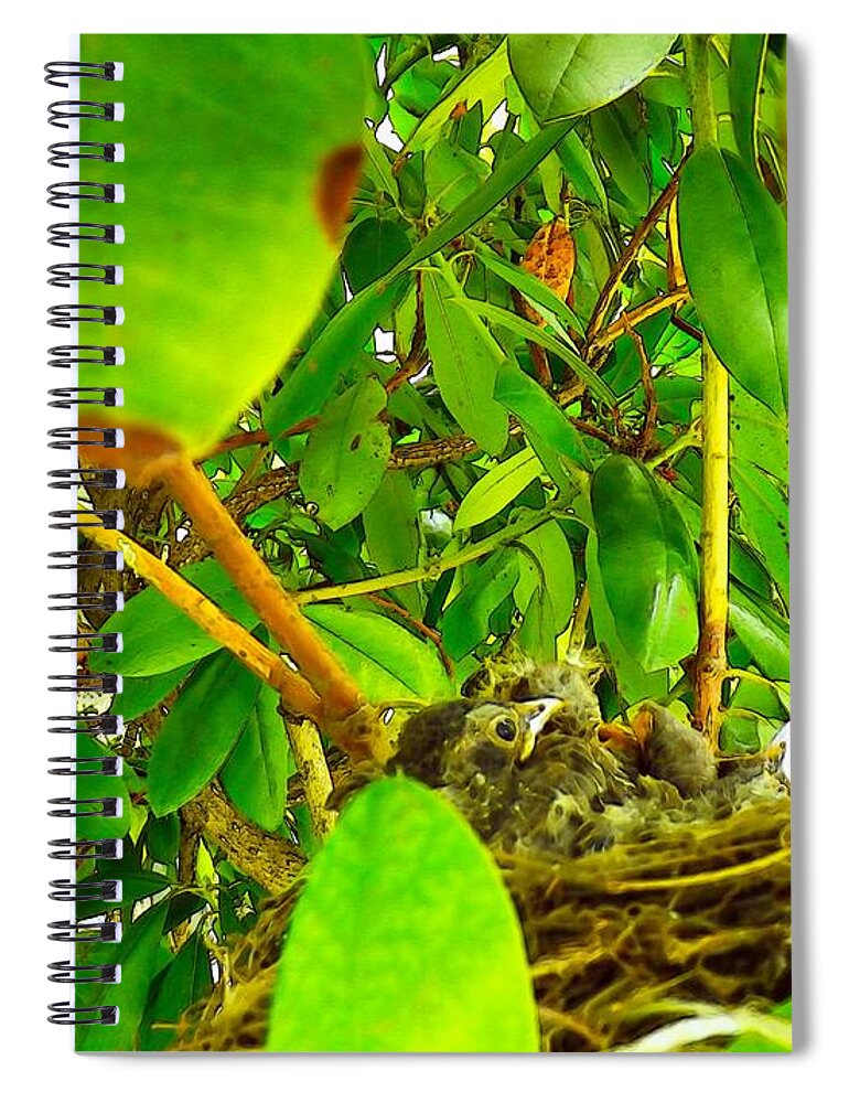 Birds Spiral Notebook featuring the photograph Good Morning Sunshine by Robyn King