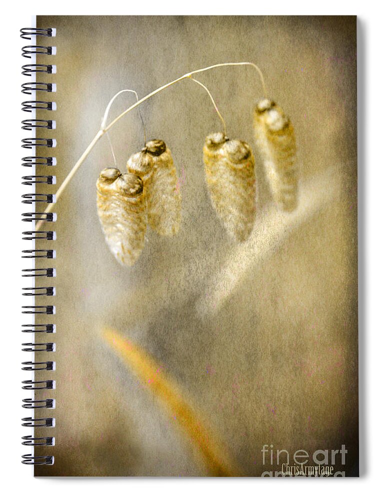 Grasses Spiral Notebook featuring the photograph Good to be alone by Chris Armytage