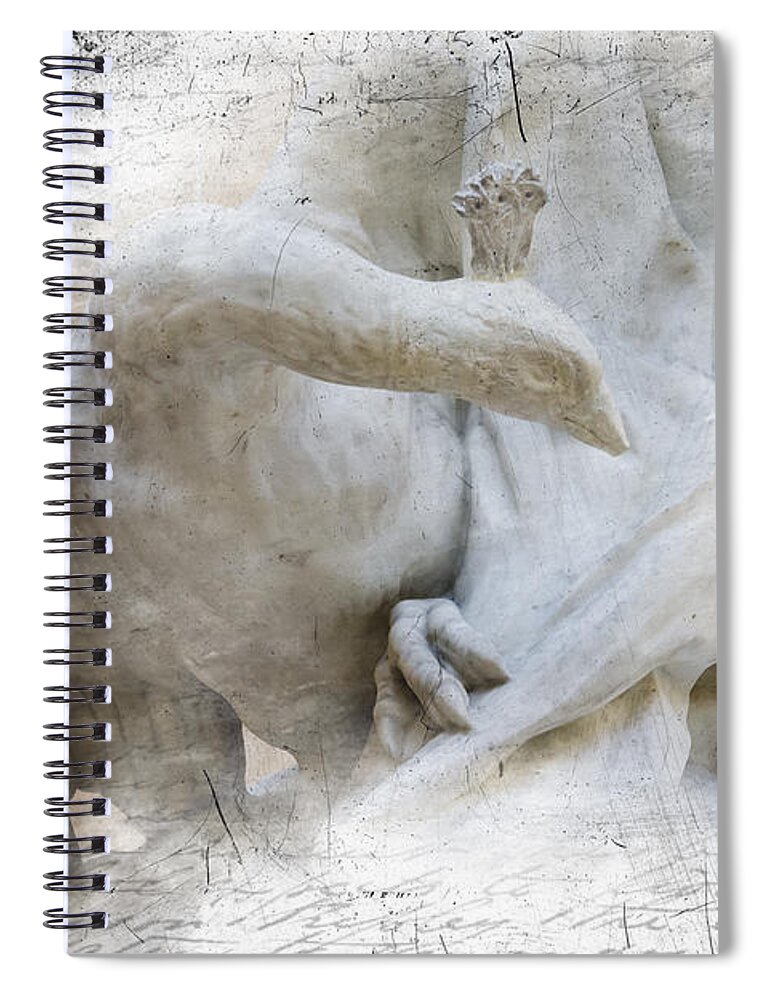 Black Spiral Notebook featuring the photograph Goose with Master by Evie Carrier