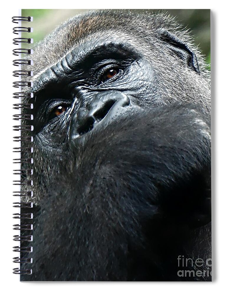 Gorilla Spiral Notebook featuring the photograph Gorilla by Lilliana Mendez