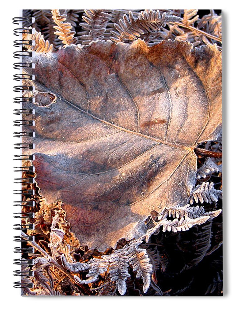 Fall Spiral Notebook featuring the photograph Graced By Frost by Rory Siegel