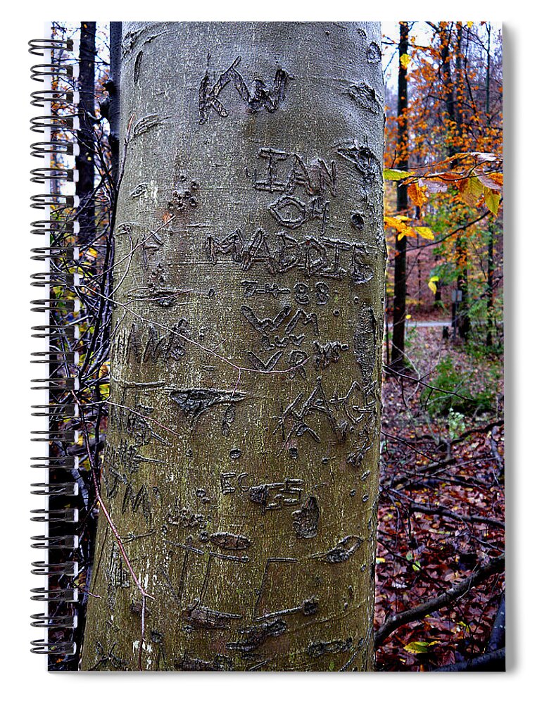 Richard Reeve Spiral Notebook featuring the photograph Graffitree by Richard Reeve