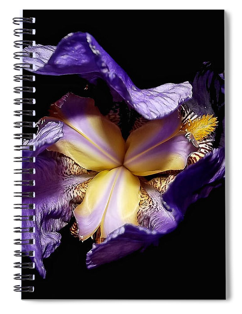 Flowers Spiral Notebook featuring the photograph Grandma's Iris's by Harold Zimmer