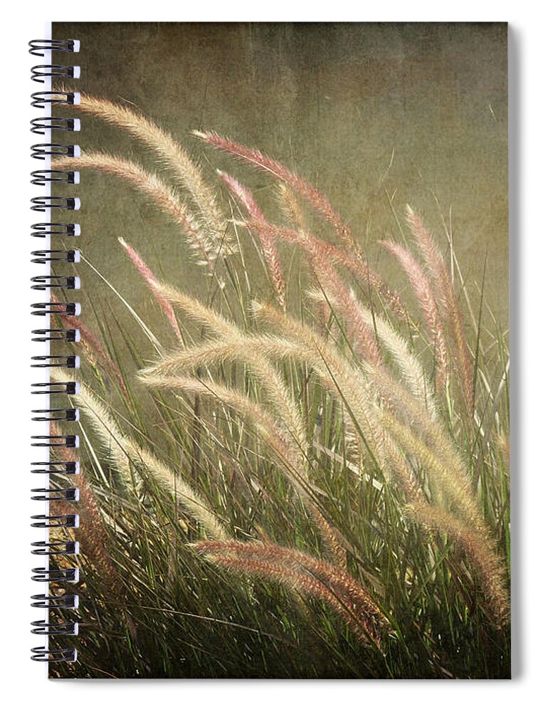 Ornamental Spiral Notebook featuring the photograph Grasses in Beauty by Lucinda Walter