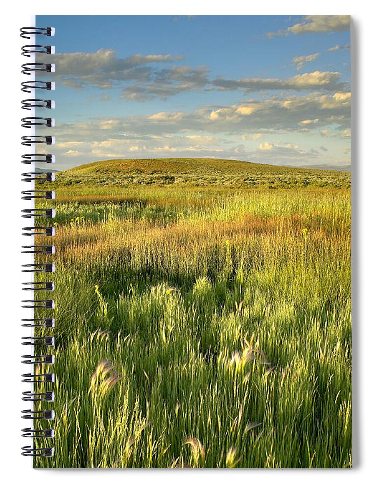 00175296 Spiral Notebook featuring the photograph Grasslands Arapaho NWR by Tim Fitzharris