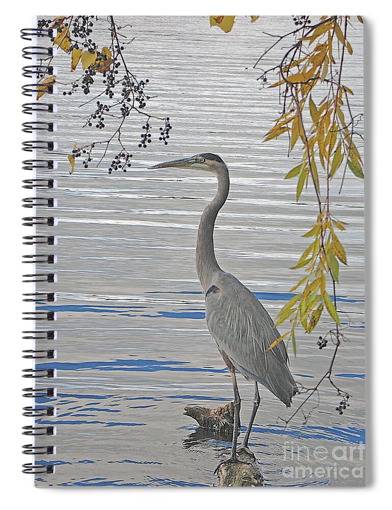 Heron Spiral Notebook featuring the photograph Great Blue Heron by Ann Horn