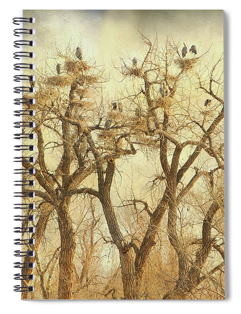 Blue Heron Spiral Notebook featuring the photograph Great Blue Heron Hangout Fine Art by James BO Insogna