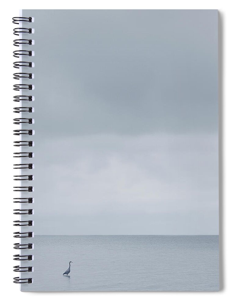 Tranquility Spiral Notebook featuring the photograph Great Blue Heron by Rob Atkins