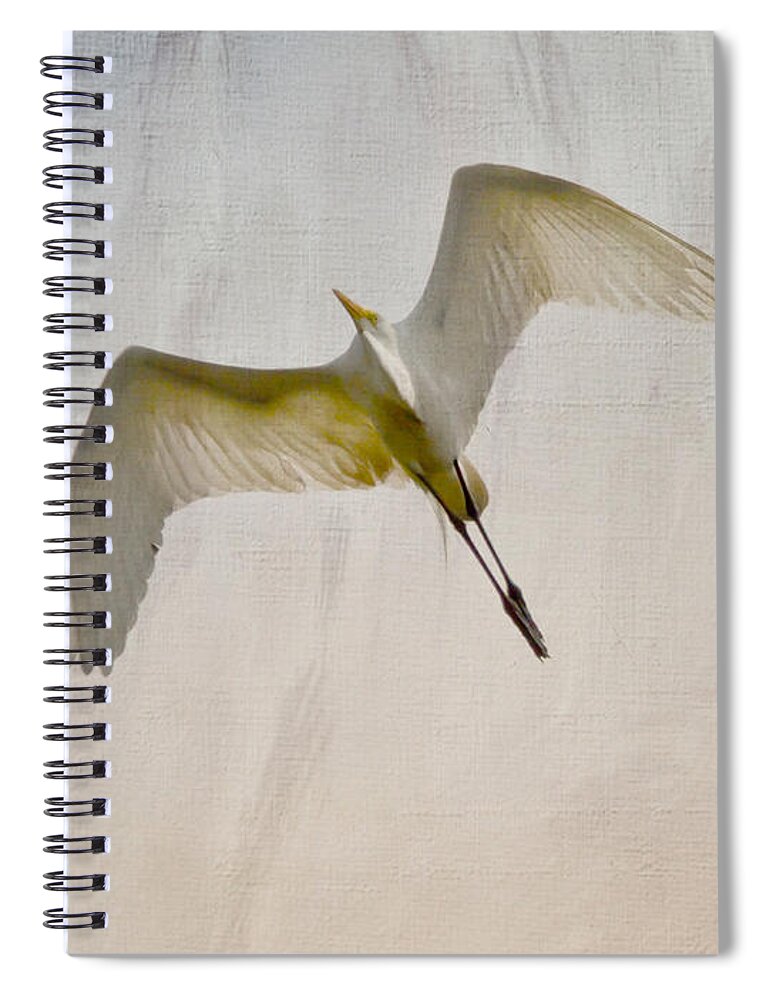 Egret Spiral Notebook featuring the photograph Great Egret Sky Ballet by Kerri Farley