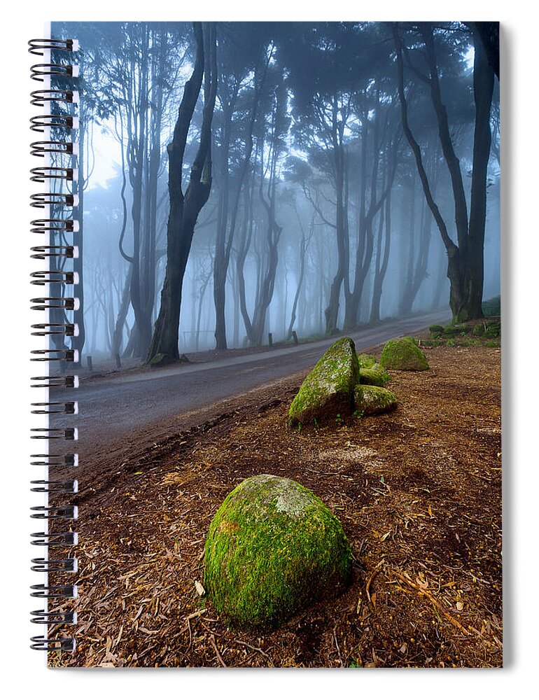 Green Spiral Notebook featuring the photograph Green and Blue by Jorge Maia