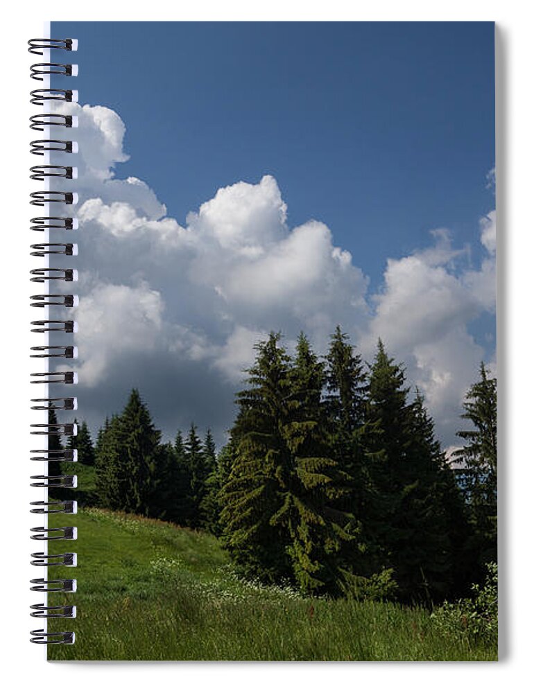 Pine Tree Spiral Notebook featuring the photograph Green Ball Gowns by Georgia Mizuleva