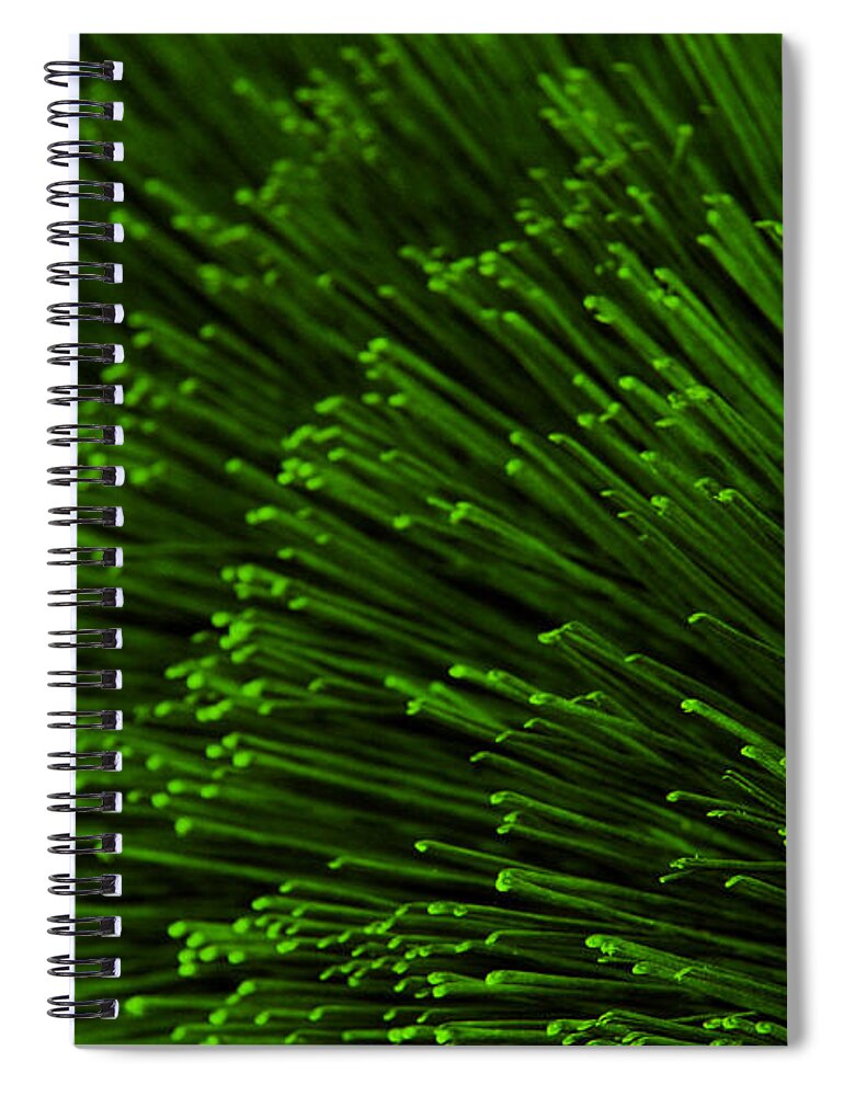 Bristles Spiral Notebook featuring the photograph Green Bristles by Robert Woodward
