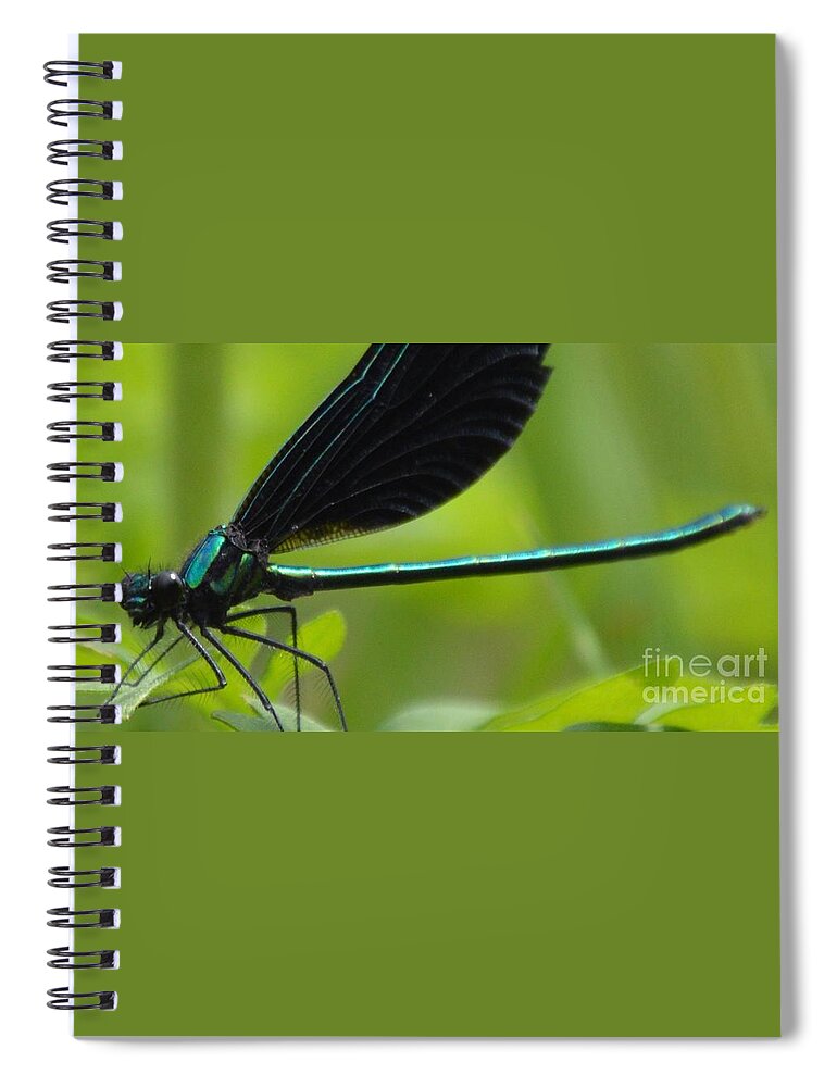 Damselfly Spiral Notebook featuring the photograph Green Damselfly by Lynellen Nielsen
