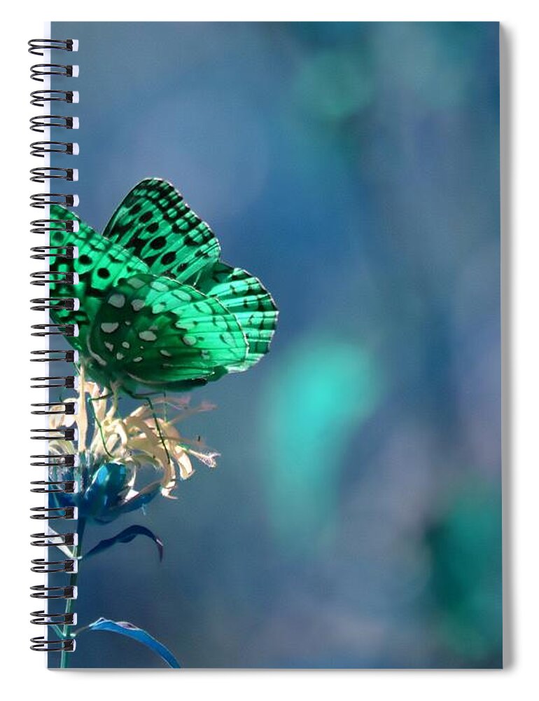 Butterfly Spiral Notebook featuring the photograph Green by Deena Stoddard