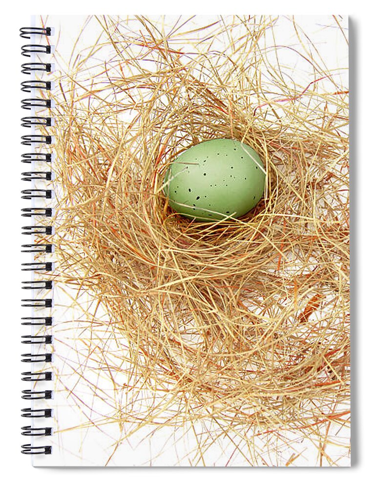 Bird Nest Spiral Notebook featuring the photograph Green Egg in a Bird Nest by Jennie Marie Schell