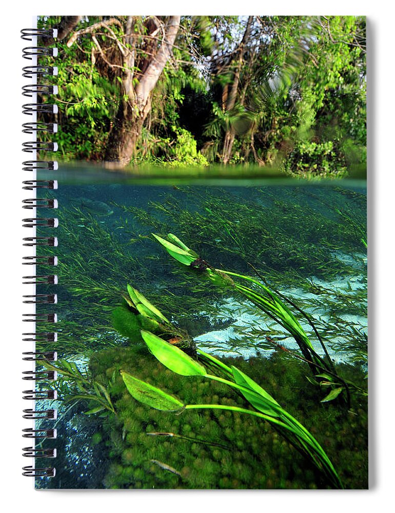 Underwater Spiral Notebook featuring the photograph Green flow by Artesub