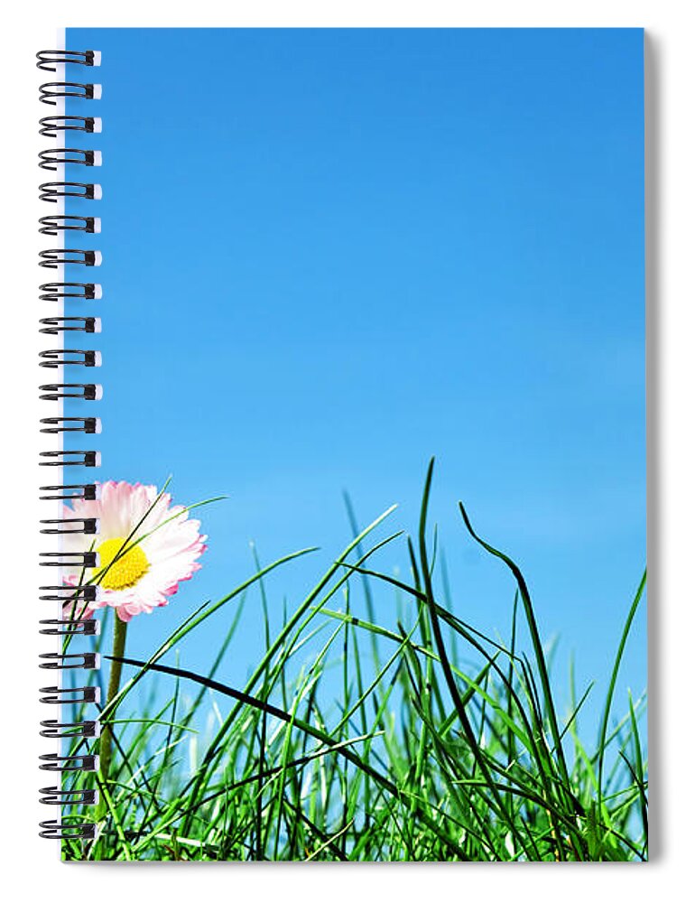 Agriculture Spiral Notebook featuring the photograph Green grass and a flower by Michal Bednarek