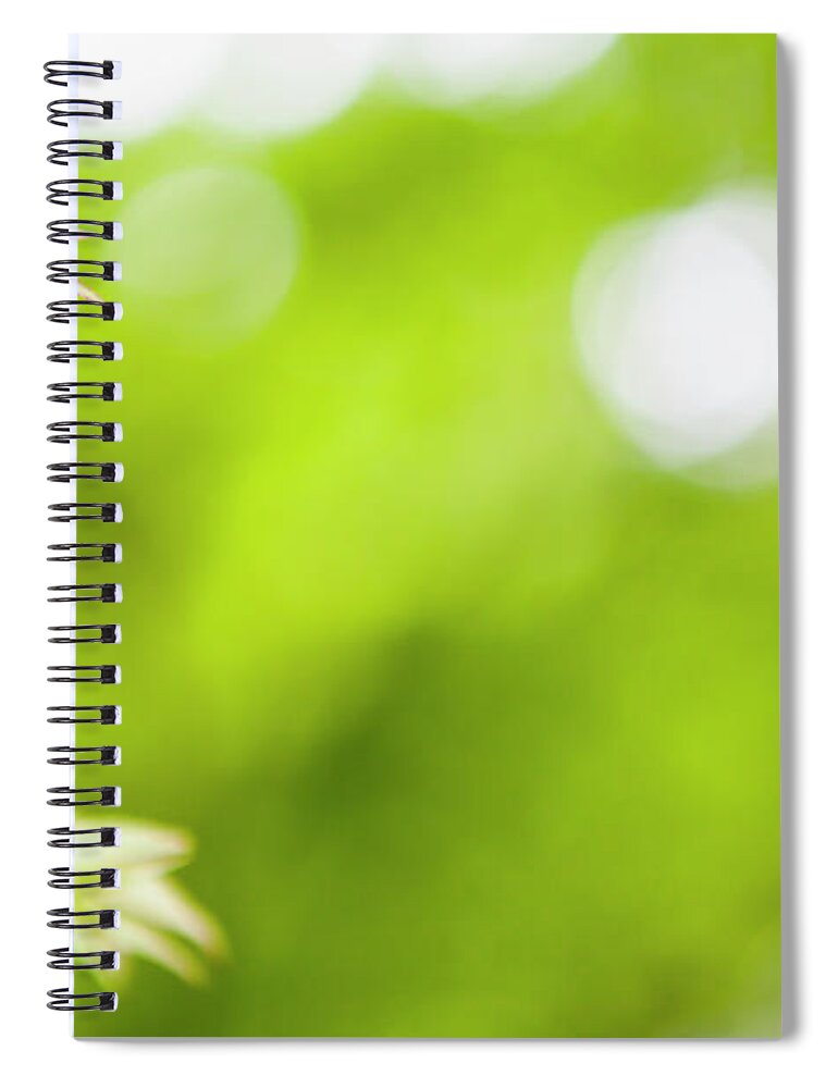 Outdoors Spiral Notebook featuring the photograph Green Leaves by Shan Shui