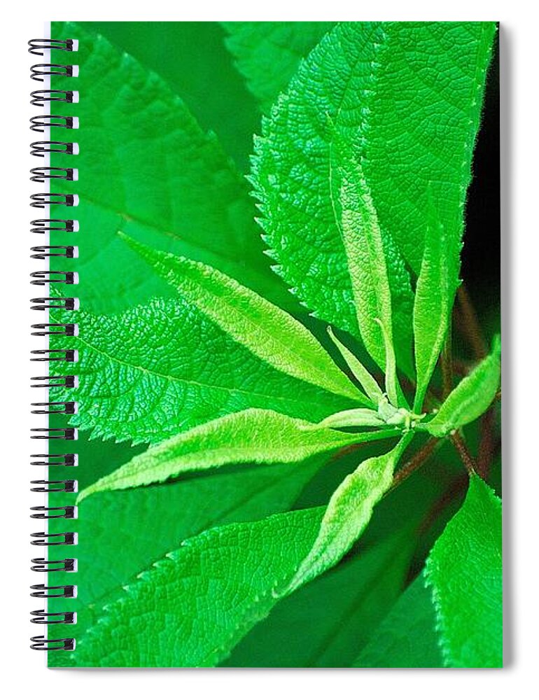 Green Spiral Notebook featuring the photograph Green by Ludwig Keck