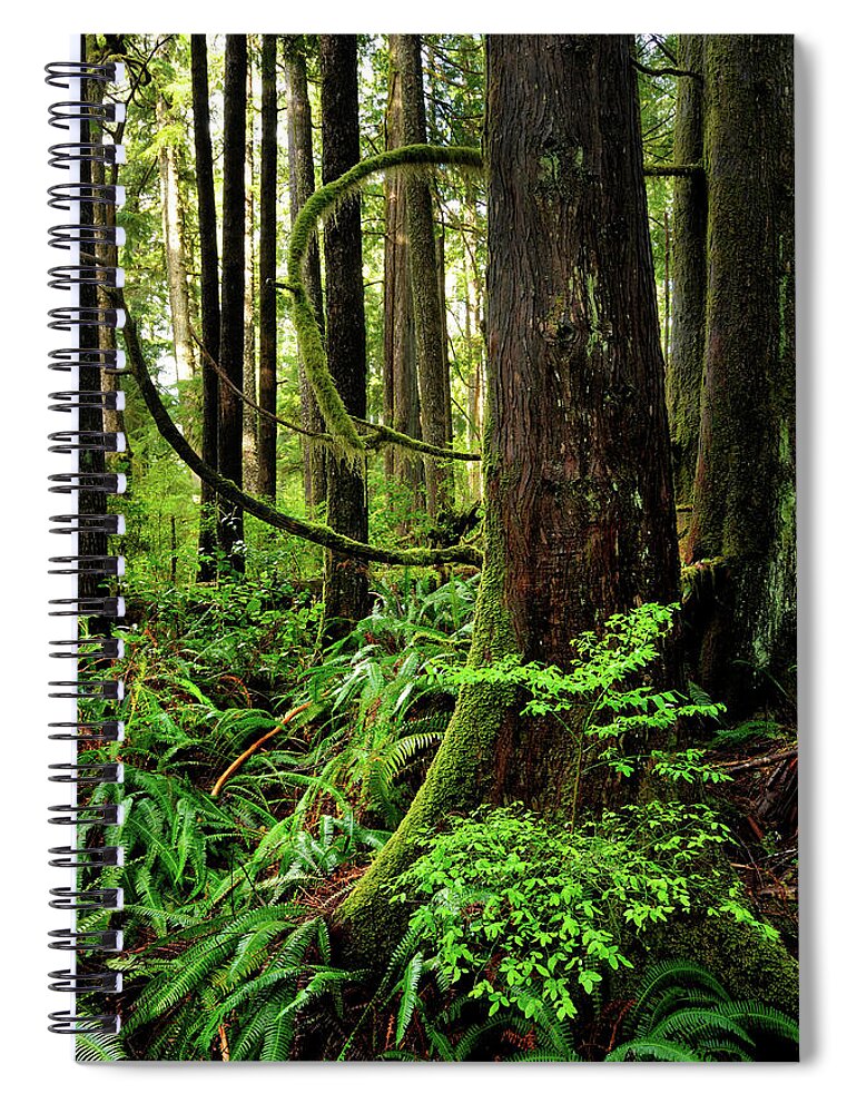 Scenics Spiral Notebook featuring the photograph Green Rainforest With Curved Branches by Rezus