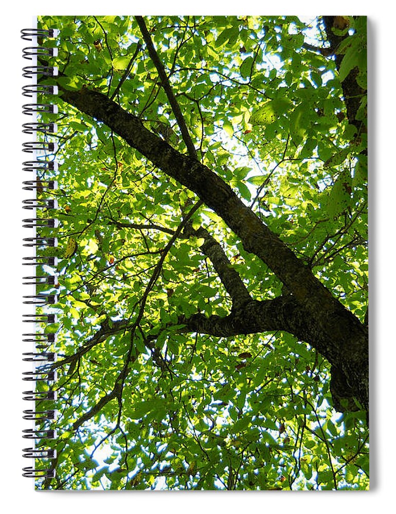 Green Spiral Notebook featuring the photograph Green by Ramona Matei