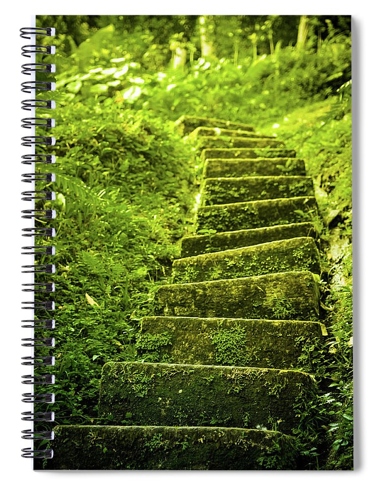 Tropical Rainforest Spiral Notebook featuring the photograph Green Stair by Pixalot